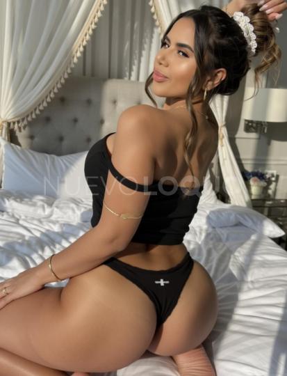 NuevoLoquo4
