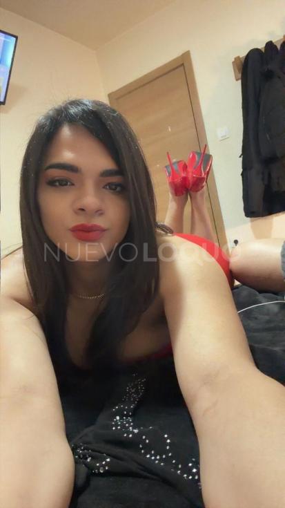 NuevoLoquo1