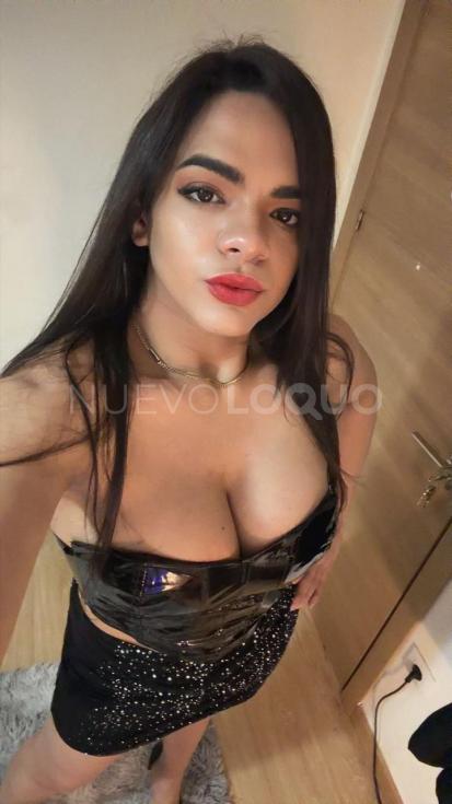 NuevoLoquo2