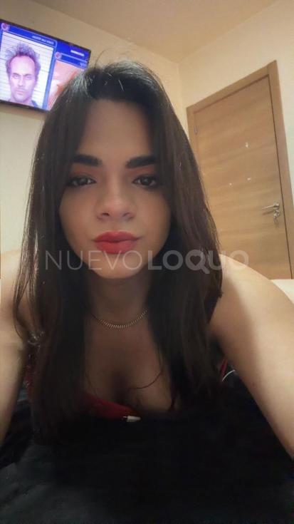 NuevoLoquo3