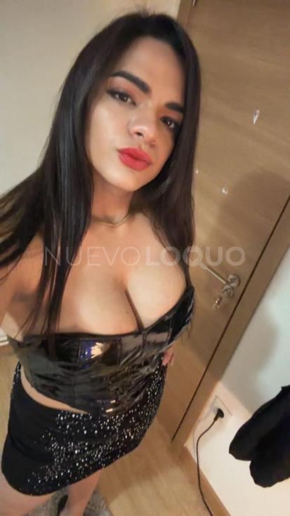 NuevoLoquo5