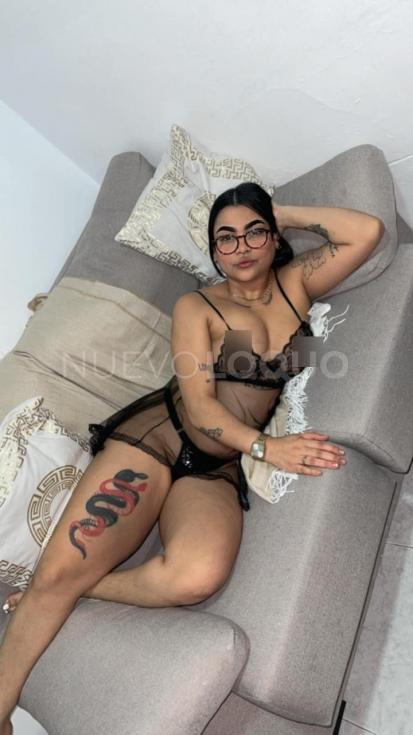 NuevoLoquo3