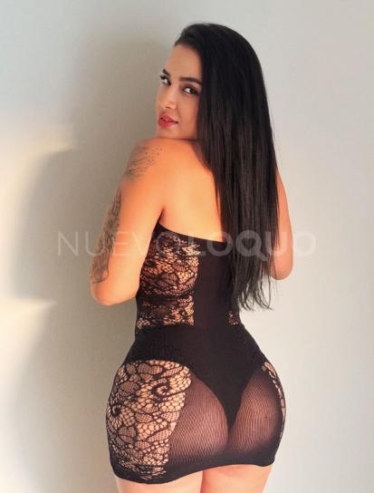 NuevoLoquo3