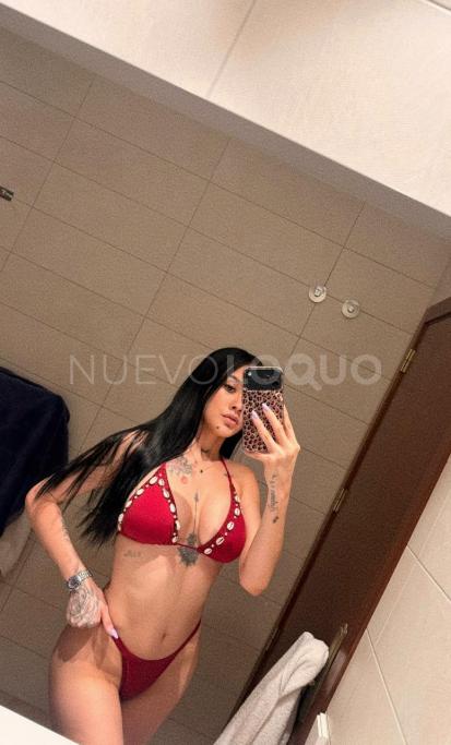 NuevoLoquo1