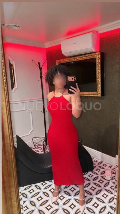 NuevoLoquo2