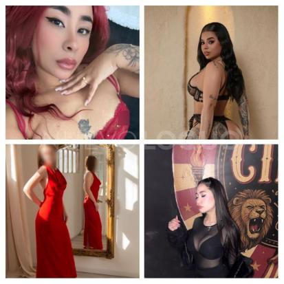 contactos pasion