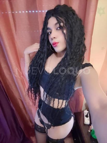 NuevoLoquo3