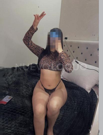 NuevoLoquo2