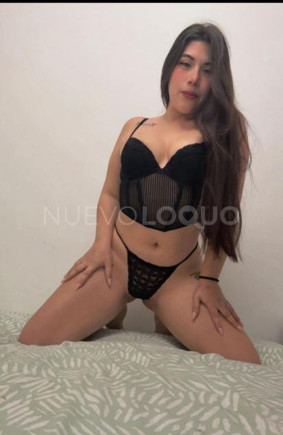 NuevoLoquo3