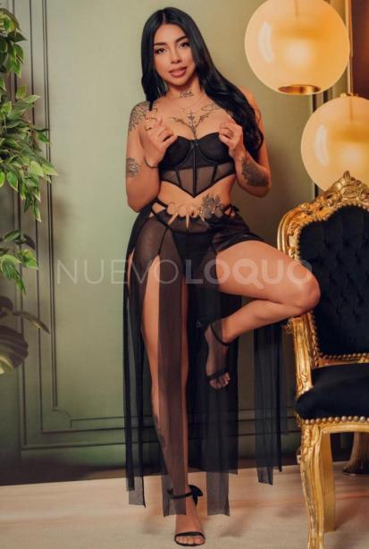 NuevoLoquo2