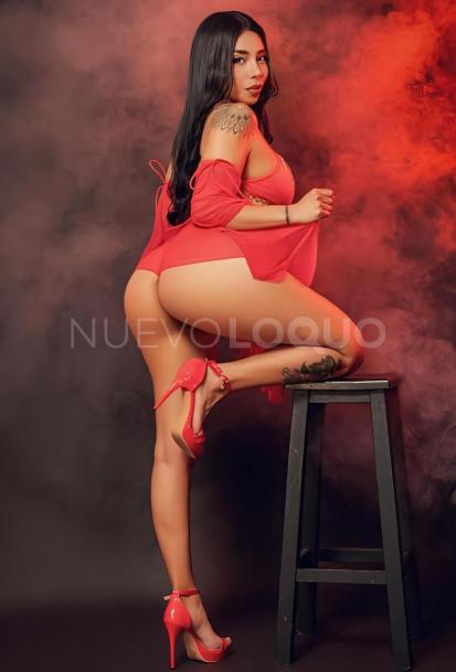 NuevoLoquo3