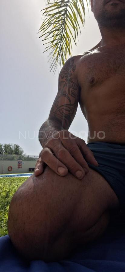 NuevoLoquo4