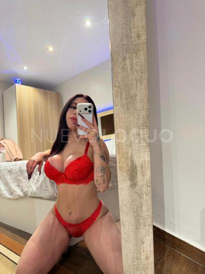NuevoLoquo2