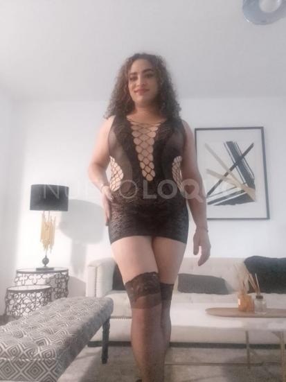  DULCE TRANS COLOMBIANA IMPLICADA