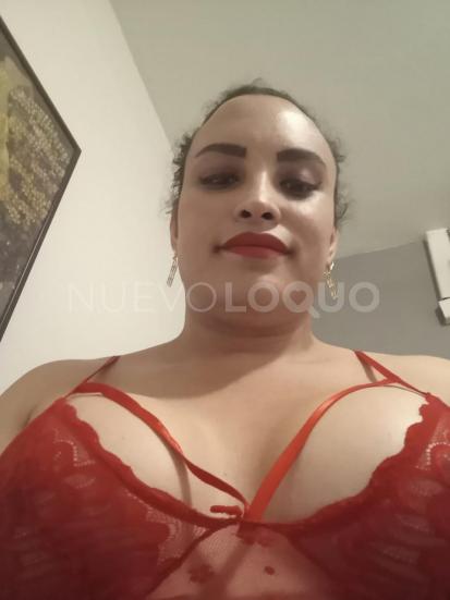 NuevoLoquo2