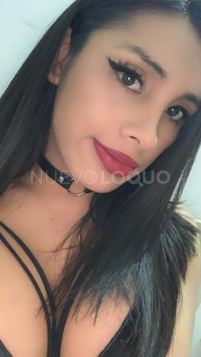 NuevoLoquo5
