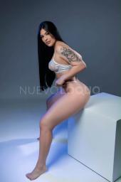Todo lo que buscas