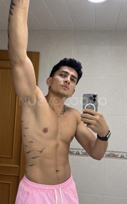NuevoLoquo2