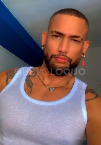 NuevoLoquo1