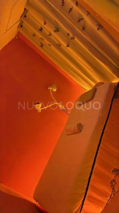 NuevoLoquo0