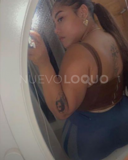 NuevoLoquo3