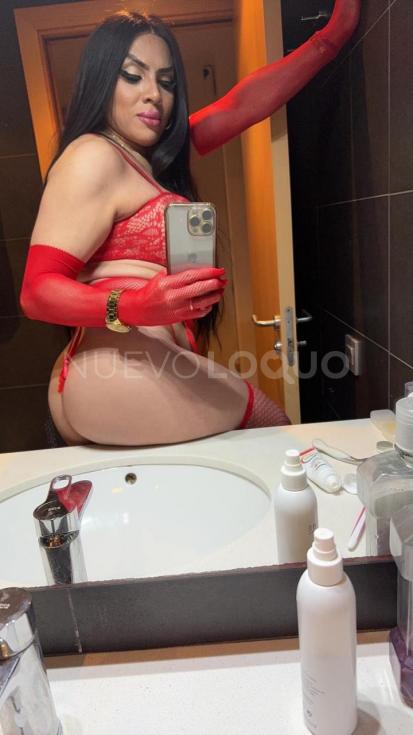 NuevoLoquo2