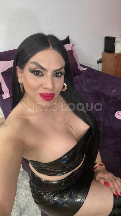 NuevoLoquo4