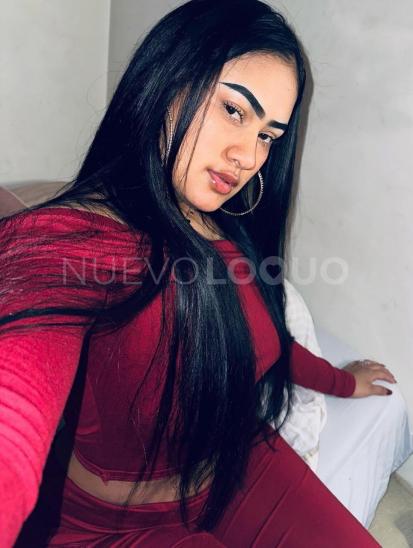 NuevoLoquo1
