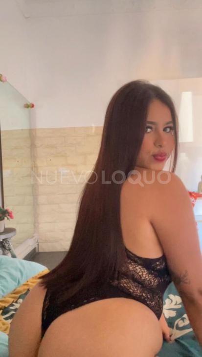 NuevoLoquo2