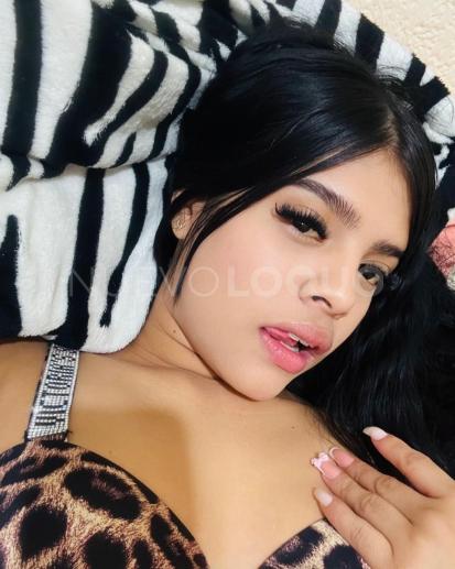 NuevoLoquo2