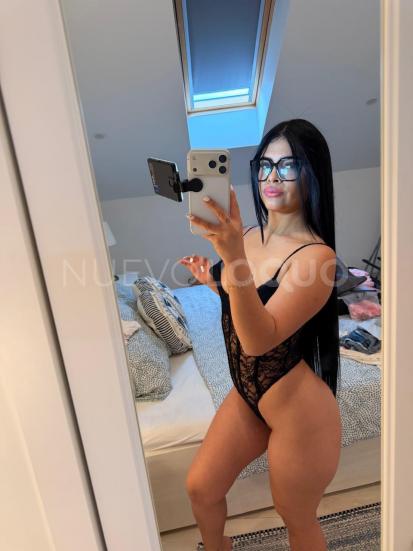 NuevoLoquo3