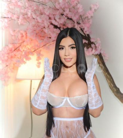 NuevoLoquo3
