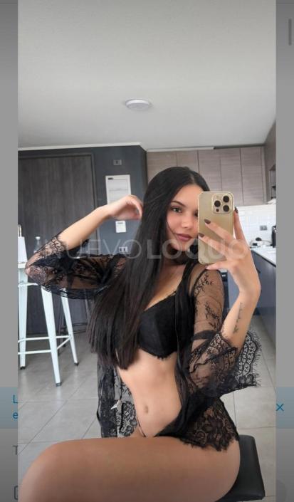 NuevoLoquo1
