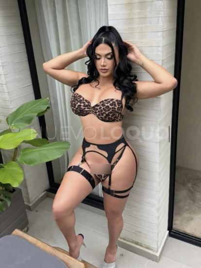 NuevoLoquo3