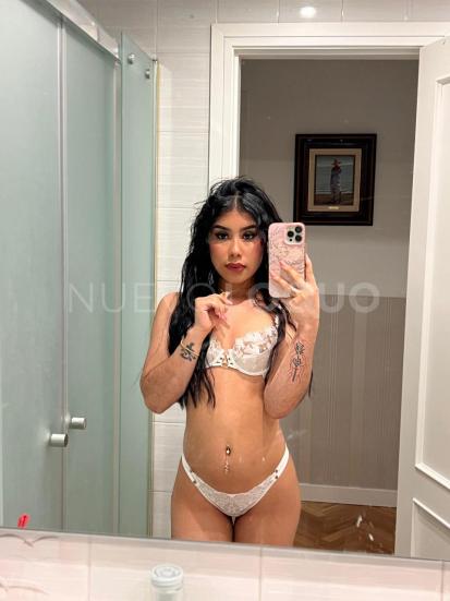 NuevoLoquo5