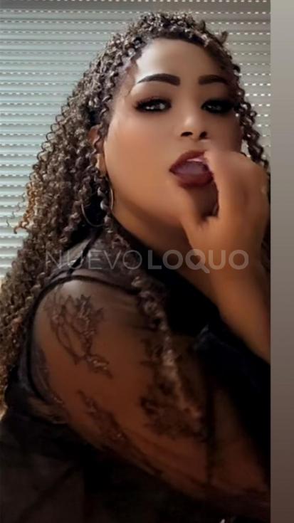 NuevoLoquo3