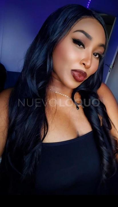 NuevoLoquo1
