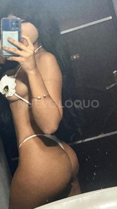 NuevoLoquo1