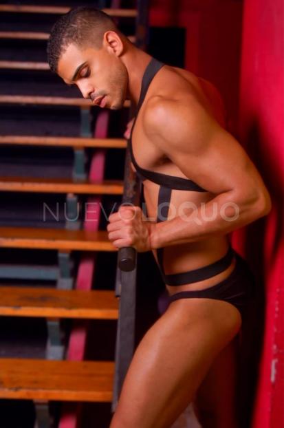 NuevoLoquo3