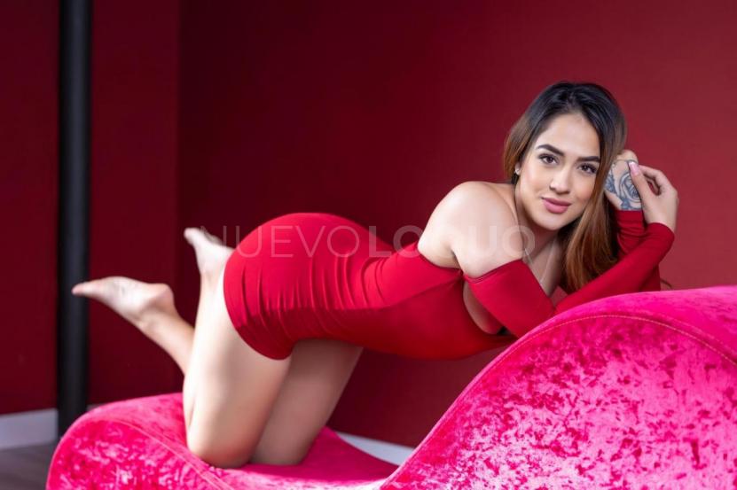 NuevoLoquo2