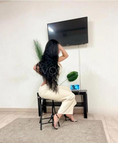 NuevoLoquo2