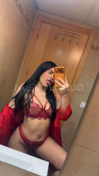 NuevoLoquo2