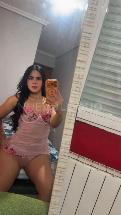 NuevoLoquo3
