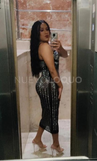 NuevoLoquo3