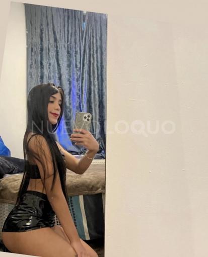 NuevoLoquo3