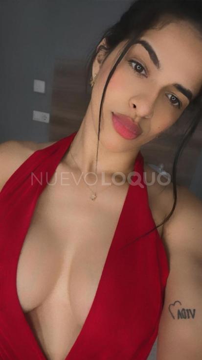 NuevoLoquo3