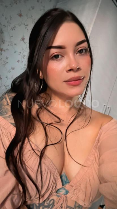 NuevoLoquo3