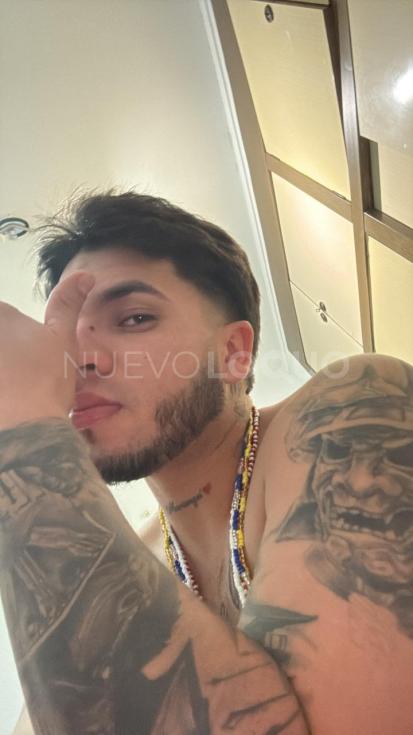 NuevoLoquo3