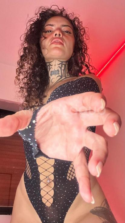 NuevoLoquo2