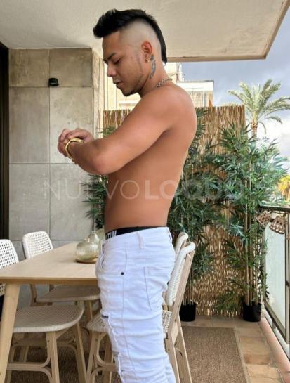 NuevoLoquo2
